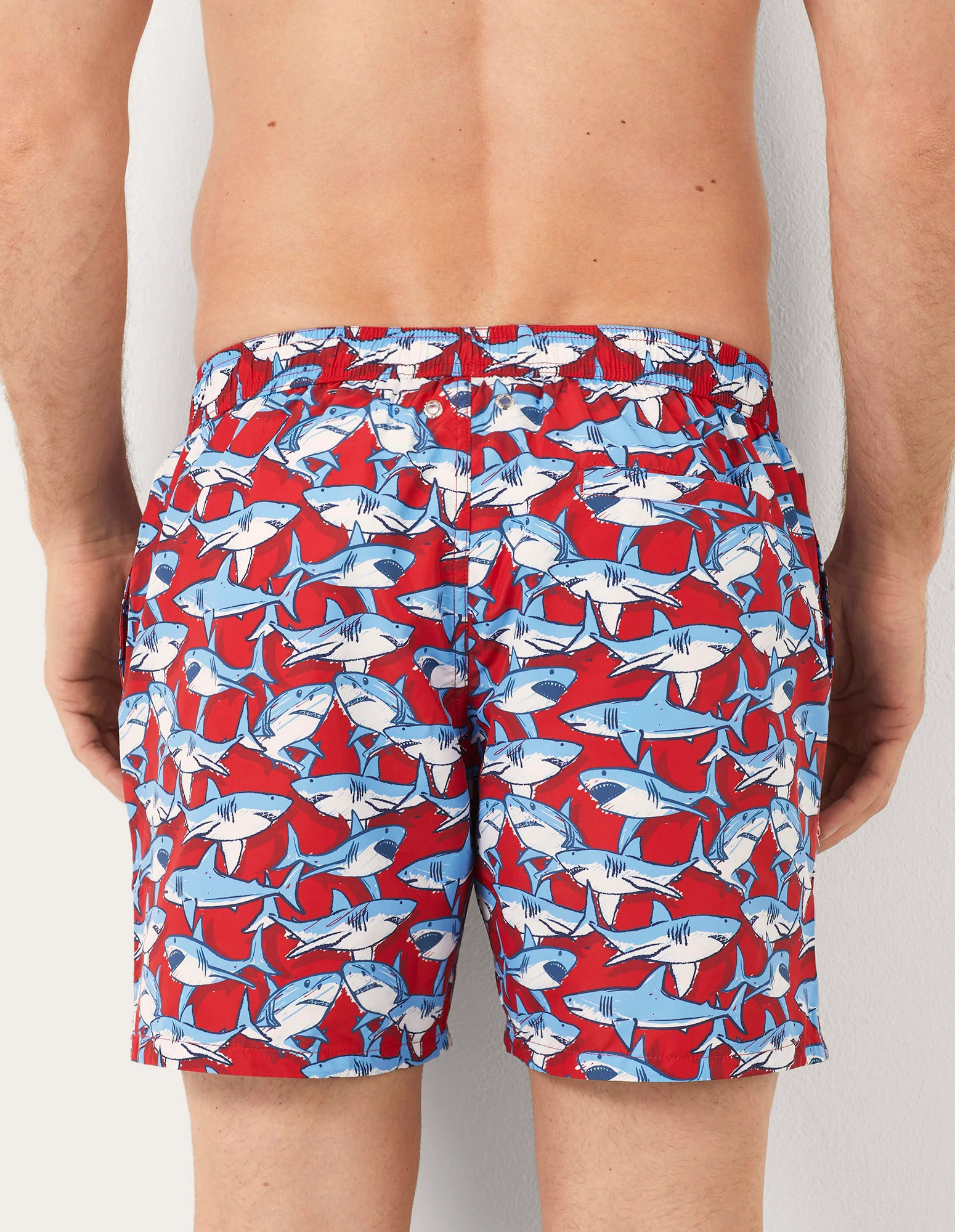 Costume boxer da uomo con squali Coral Reef - Image 3
