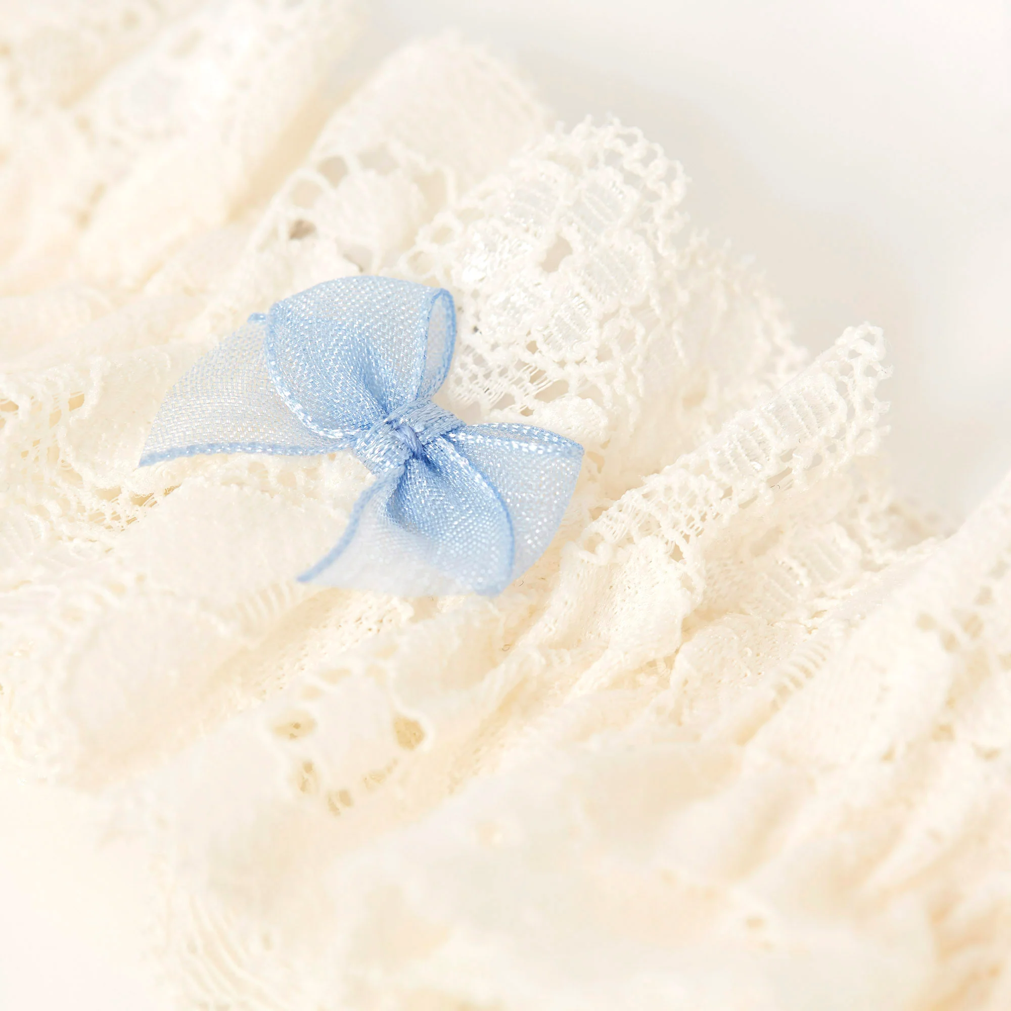 Giarrettiera - New Primula - Image 3